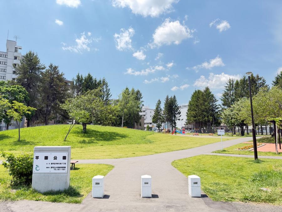 防災・安全交付金事業平園公園再整備工事 